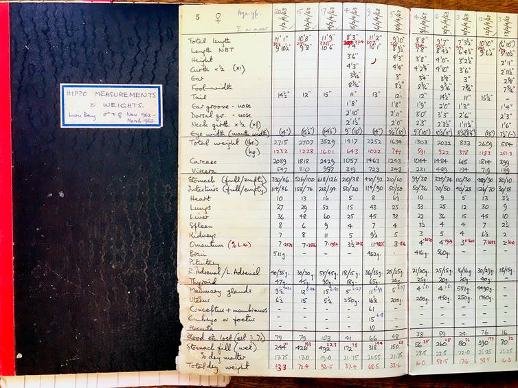 Oude notitieboekjes met afmetingen
