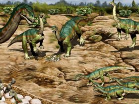 Een sociale soort Nieuw ontdekte fossielen laten zien dat vroege