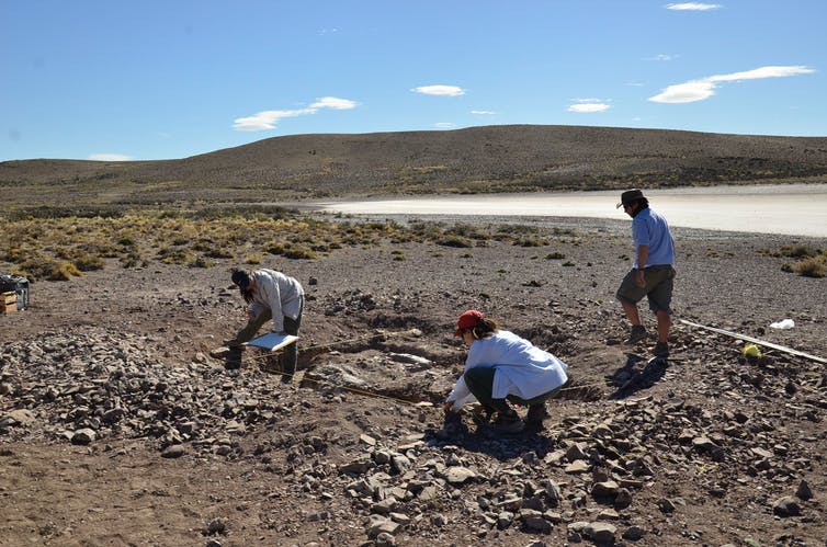 Drie mensen die aan het skelet werken, graven in Patagonië.