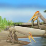 Child reuzenpterosauriers hebben mogelijk kleinere soorten uitgestorven blijkt uit fossielenonderzoeken