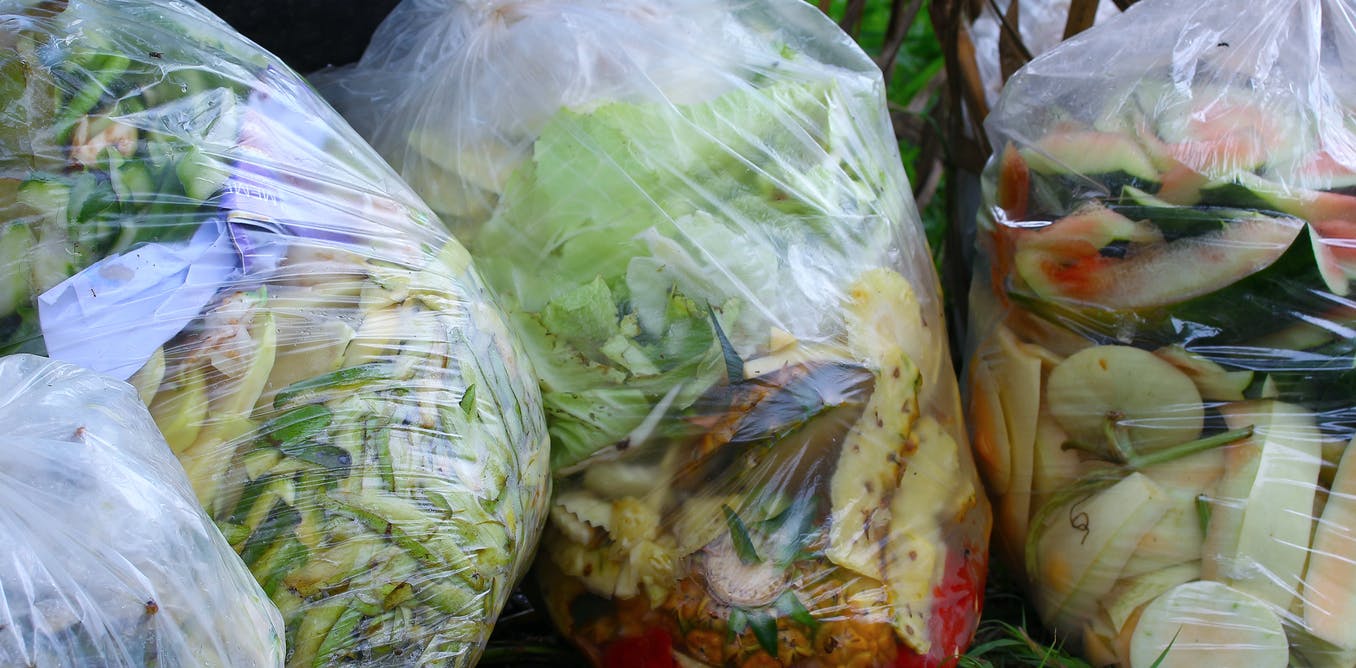Vijf manieren om voedselverspilling tegen te gaan en waarom