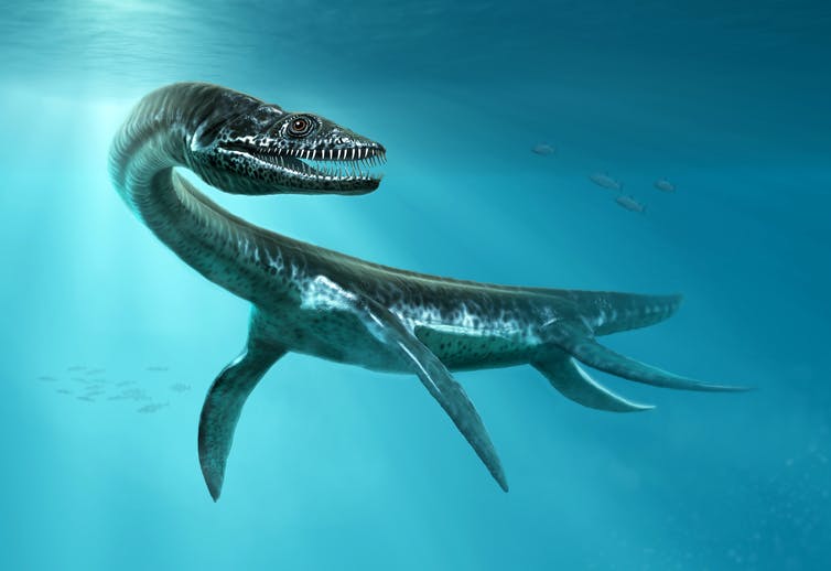 3D rendering van een plesiosaurus.