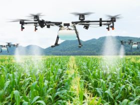 Het gebruik van AI in de landbouw kan de mondiale