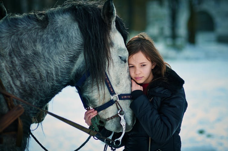 Wit met grijs paard dat tegen een jong meisje aankruipt