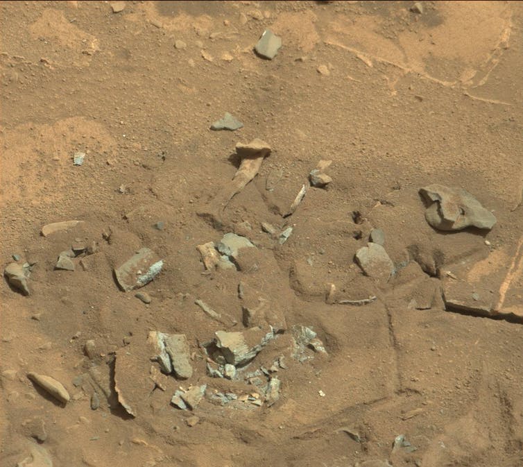 Afbeelding van een lange steen tussen verschillende andere lijkt oppervlakkig gezien op een dijbeen.