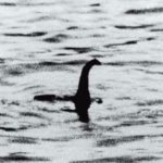 The Loch Ness monster a modern history