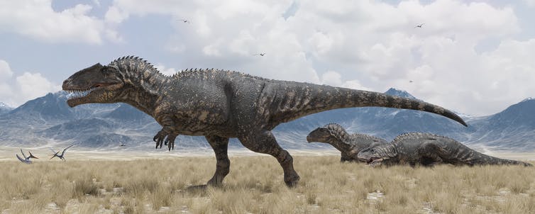De gigantosaurus zwerft door een graslandschap