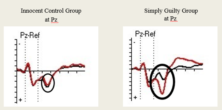 Twee grafieken die tonen hoe de P300 hersengolf verschijnt op een EEG.