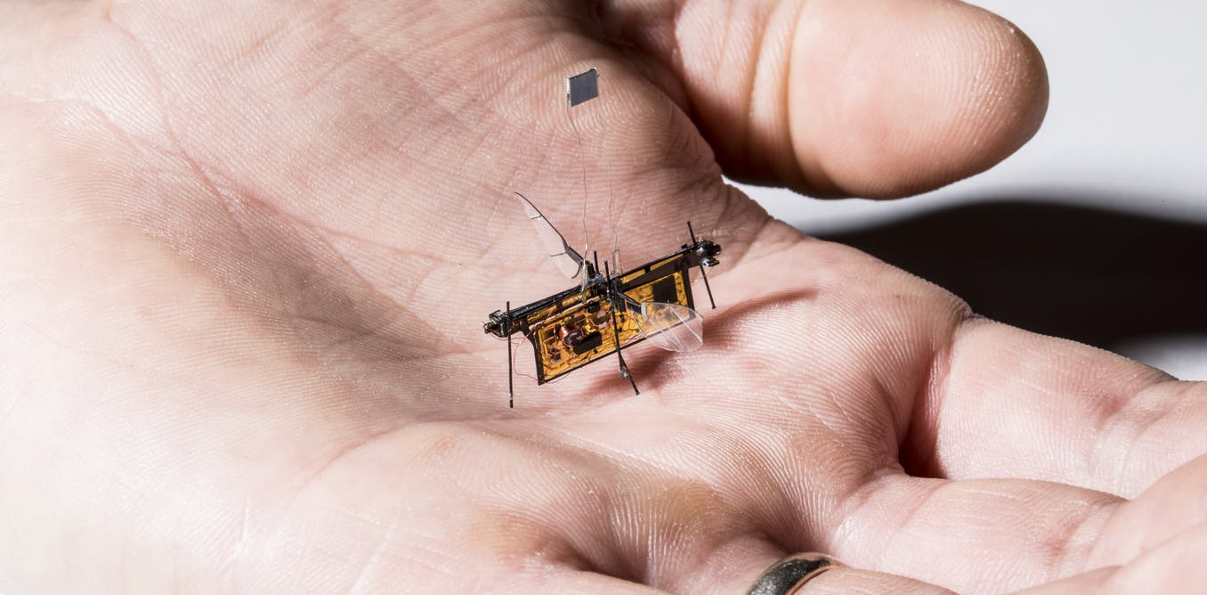 Vijf van s werelds kleinste robots