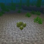 Waar zijn Sea Pickles voor in Minecraft en wat doen