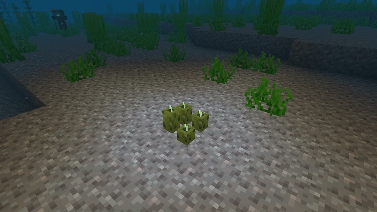 Waar zijn Sea Pickles voor in Minecraft en wat doen