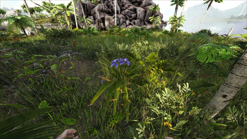 1667058354 458 Rare Flowers vinden in Ark Survival Evolved en welke wezens