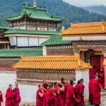 Celibaat familiegeschiedenis van Tibetaanse monniken onthult evolutionaire voordelen in monnikendom