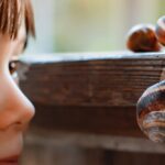 Nieuwsgierige kinderen wat is slakkenslijm en waarom glanst het