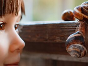 Nieuwsgierige kinderen wat is slakkenslijm en waarom glanst het