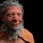 Neanderthalers hoe een carnivoor dieet tot hun ondergang kan hebben