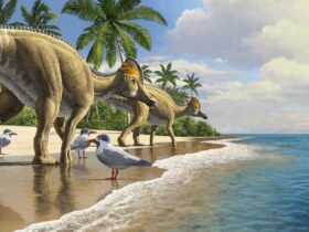 Wat als de dinosauriers niet waren uitgestorven Waarom onze wereld