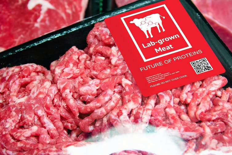 Kunstmatig rundvlees in laboratorium gekweekt vlees in supermarkt opkomend gebied van voedselproductie met label.