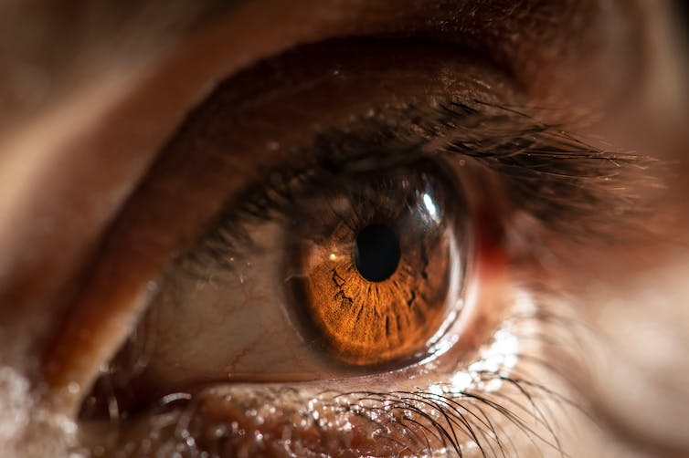 Close up van een bruin menselijk oog