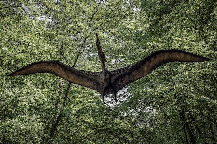 Model van Pterodactyl vliegend door een bos