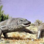 Hoe we het mysterie van de prehistorische reuzeneieren van Australie