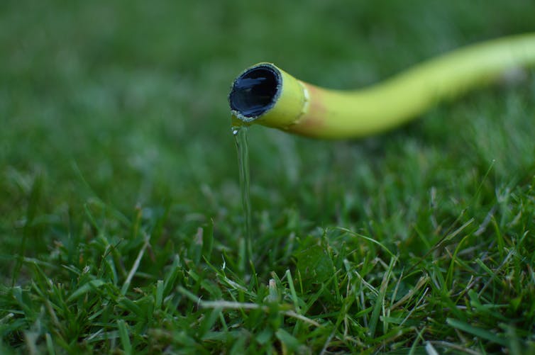 Gele slang met water dat op groen gras uitkomt.