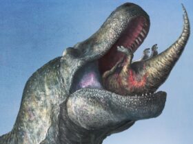 Tyrannosaurus rex uit nieuw onderzoek blijkt dat hij zijn enorme
