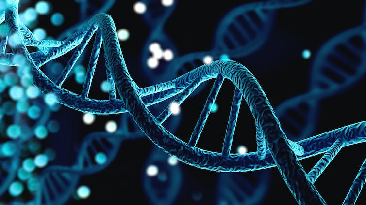 DNA dubbele helix