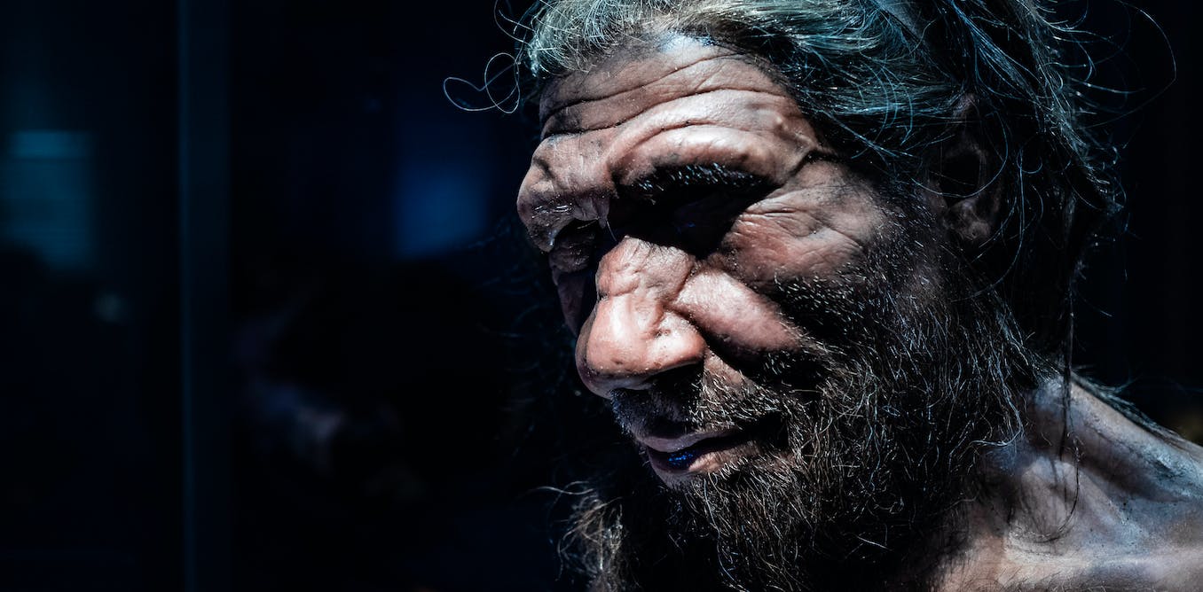 Sommige Neanderthalers jaagden op grotere dieren over een groter gebied
