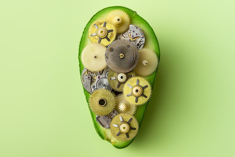Tandwielen gepropt in een avocado