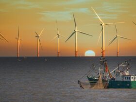 De wereld heeft honderdduizenden offshore windturbines meer nodig waar