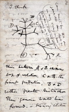 Krabbel van een diagram met handgeschreven notities aan de zijkanten en eronder