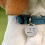 Ring gaat naast video deurbellen ook gadget maken voor honden