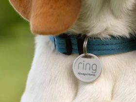 Ring gaat naast video deurbellen ook gadget maken voor honden