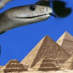 Het oude Egypte had veel meer giftige slangen dan het