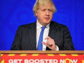 COVID onderzoek hoorde Boris Johnson worstelen met grafieken als jij