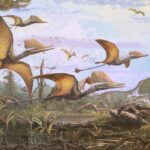 Nieuw geidentificeerde prehistorische pterosaurus helpt ons de evolutie van vliegende