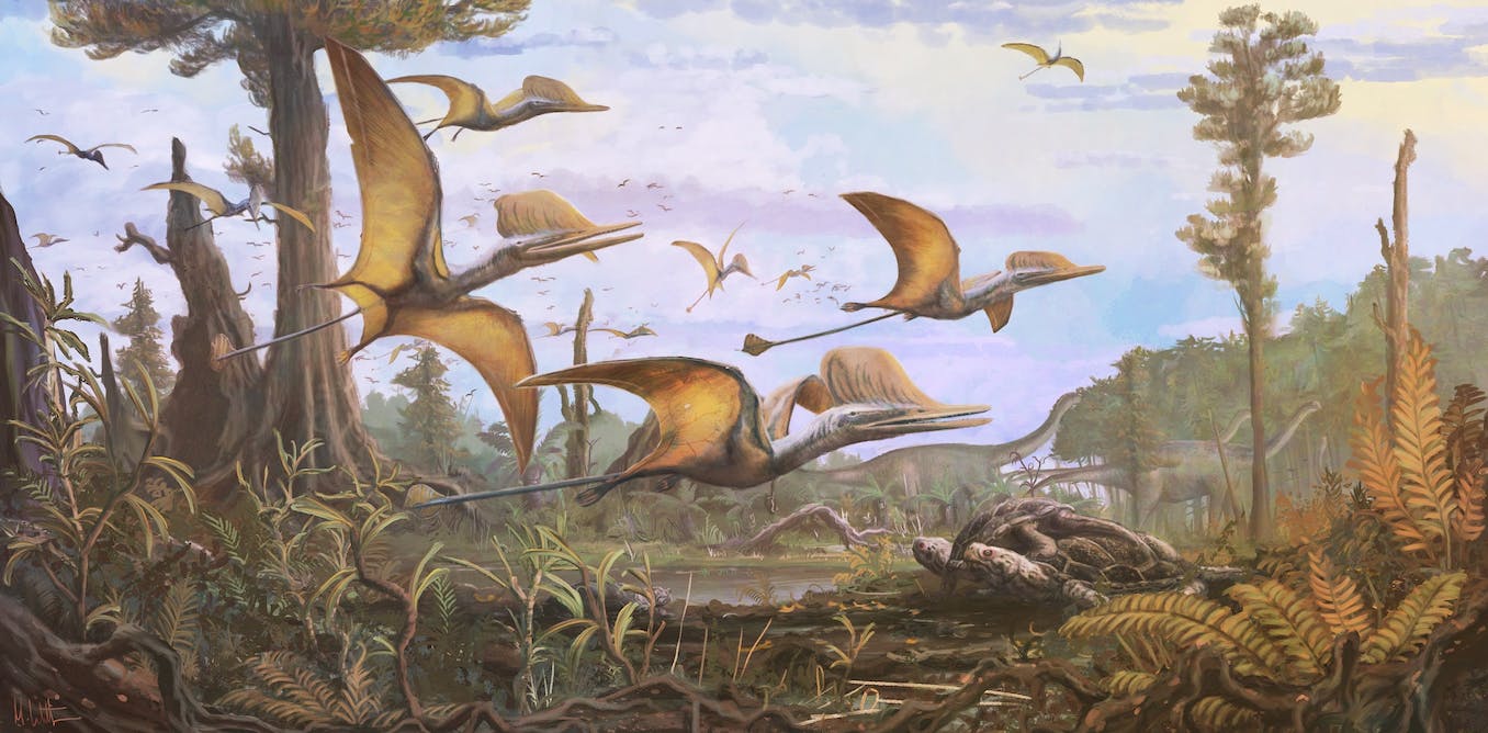 Nieuw geidentificeerde prehistorische pterosaurus helpt ons de evolutie van vliegende