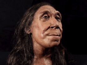De reconstructie van het gezicht van een 75000 jaar oude